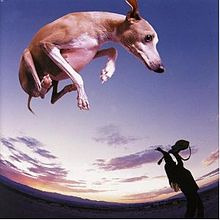Flying Dog (Paul Gilbert)